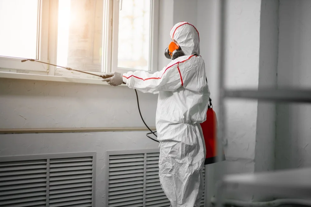 Professional mold remediation services in Salisbury, CT
